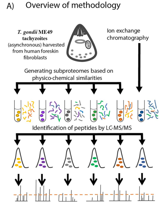 Research Article Cites and NRicher™ and Cleanascite™ in Map of Protein-Protein Interactions